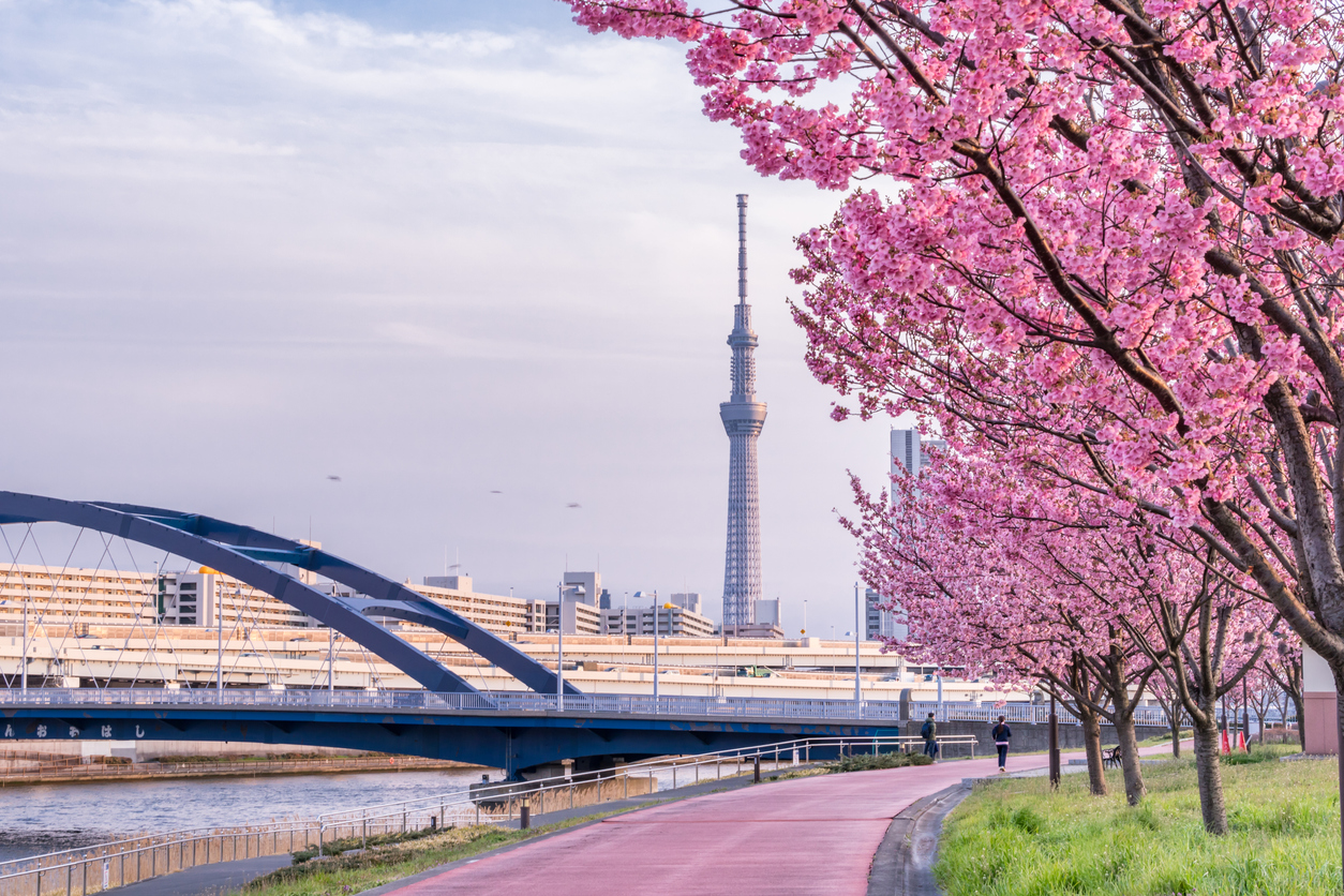 arakawa-skytree.jpg