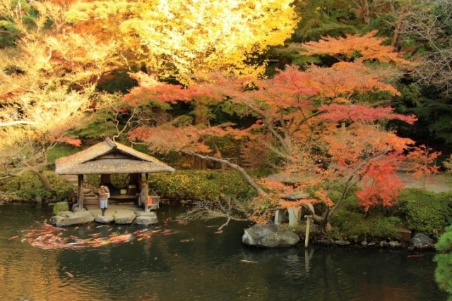 top-20-free-spots-tourist-sites-in-japan-tourism-tourists-japanese-travel-feature-18.jpg