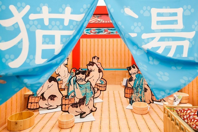 edo-neko-cat-cafe-chaya-foster-cat-pets-animals-cute-kawaii-tokyo-ryugoku-2.jpg