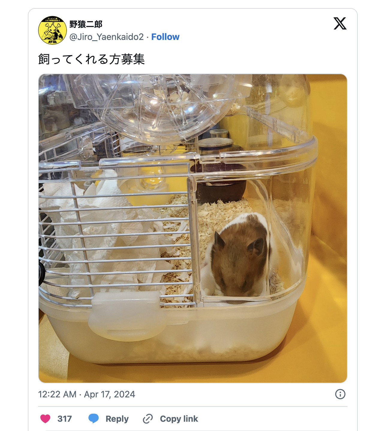 Hamster abandoned at Tokyo ramen restaurant gets new home - Japan Today