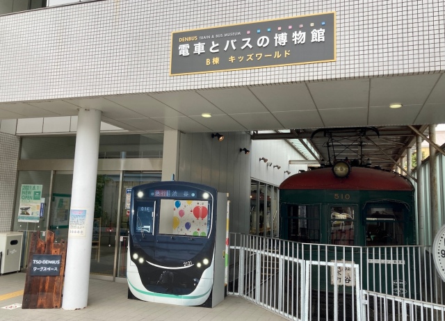 Japanese-train-Miyaz.jpg