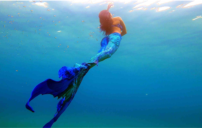 Maui Mermaid Ocean Swimming Lesson 2023 | lupon.gov.ph