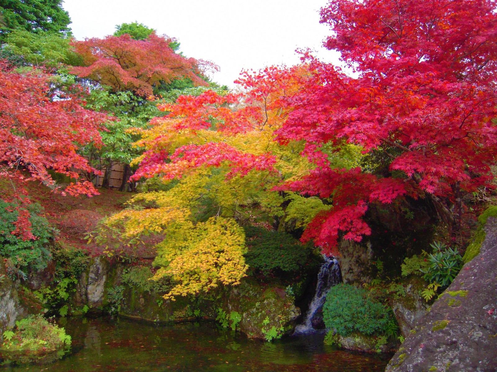 3 spots to get into the spirit of autumn in Kanagawa - Japan Today