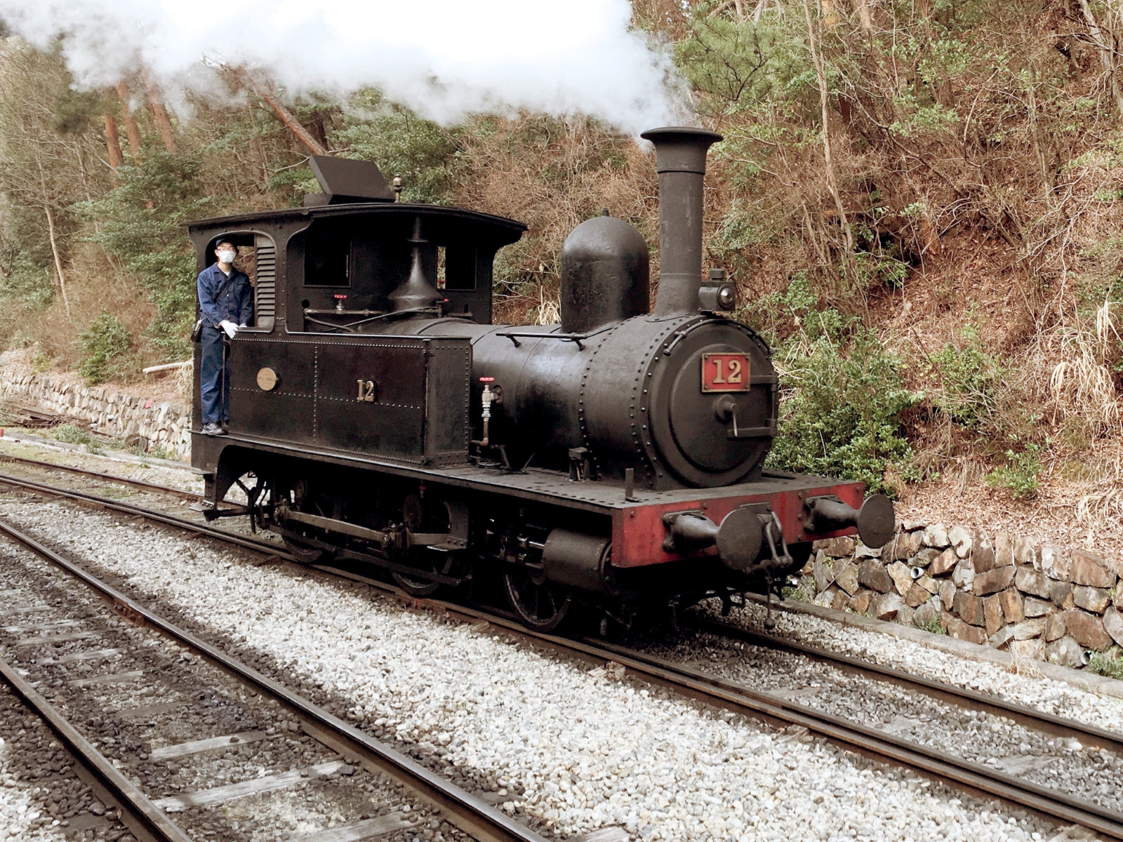 Steam-Train-Built-in-1874.jpg