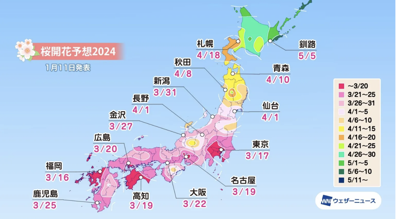 Detailed cherry blossom forecast maps show early arrival for Japan's 2024  sakura season - Japan Today