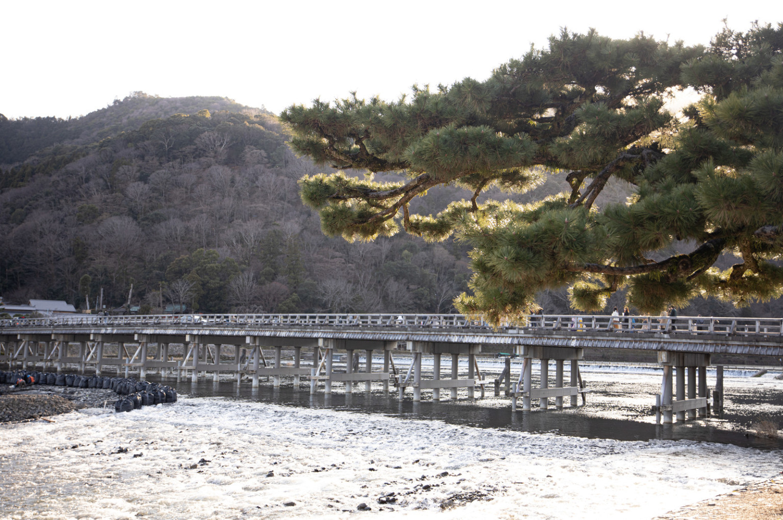 arashiyama2.jpg