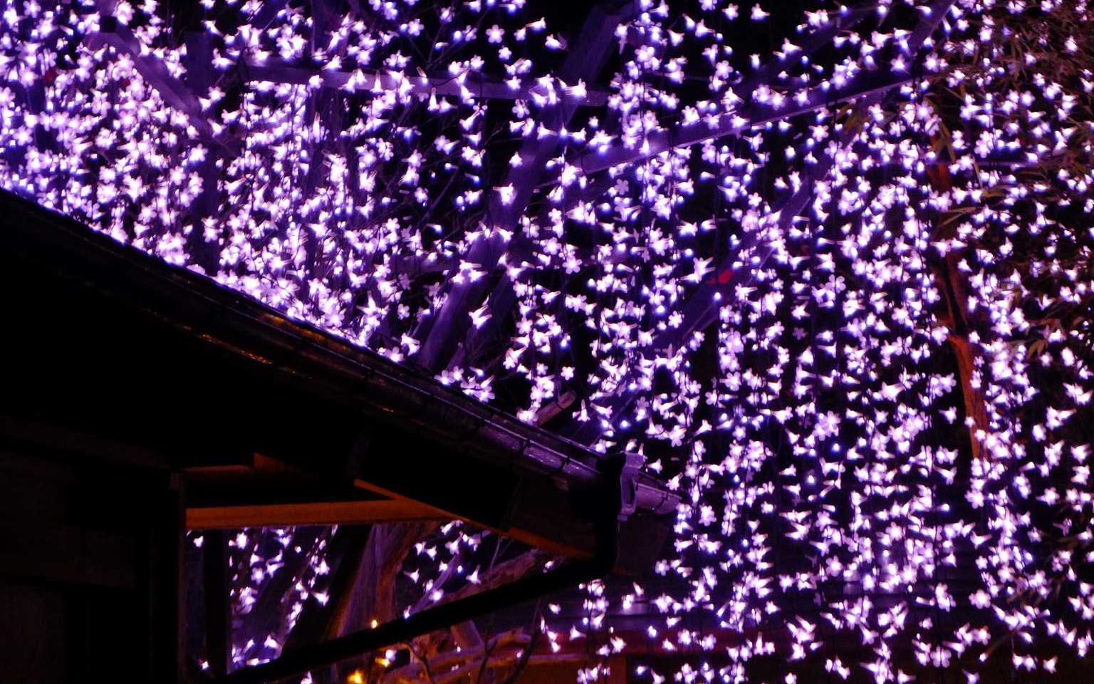 Yushien-Garden-January-illumination.jpg