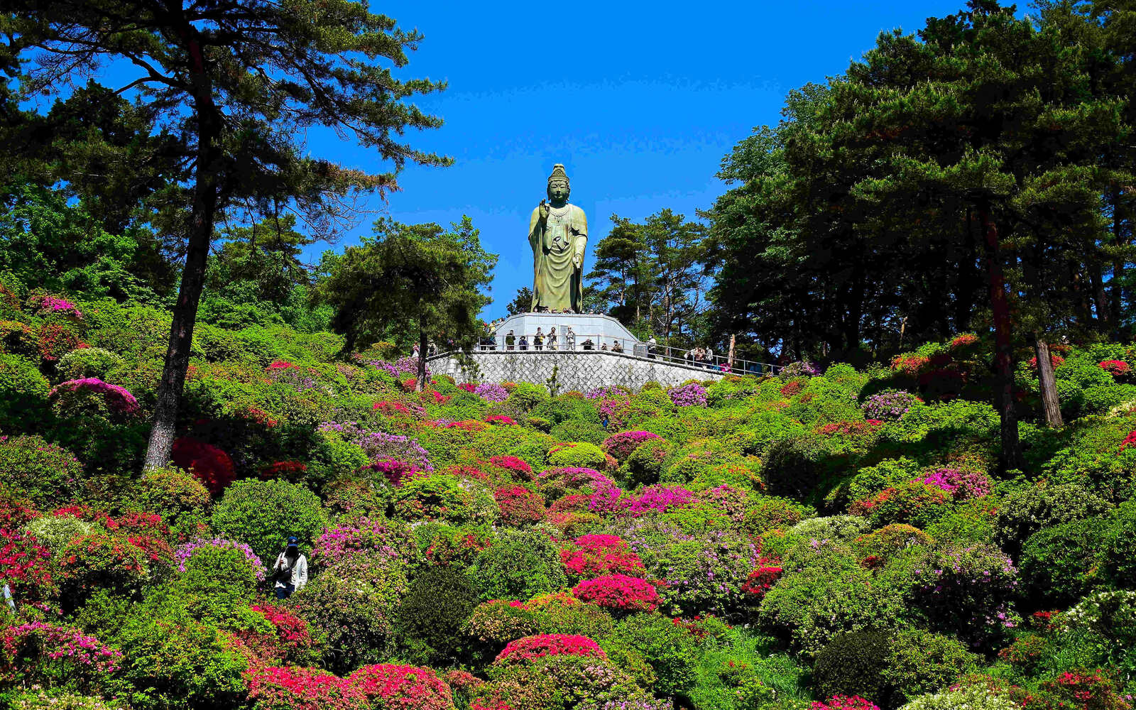 Shiofune Kannon-Ji Temple: A flower-filled valley ruled by the Goddess ...