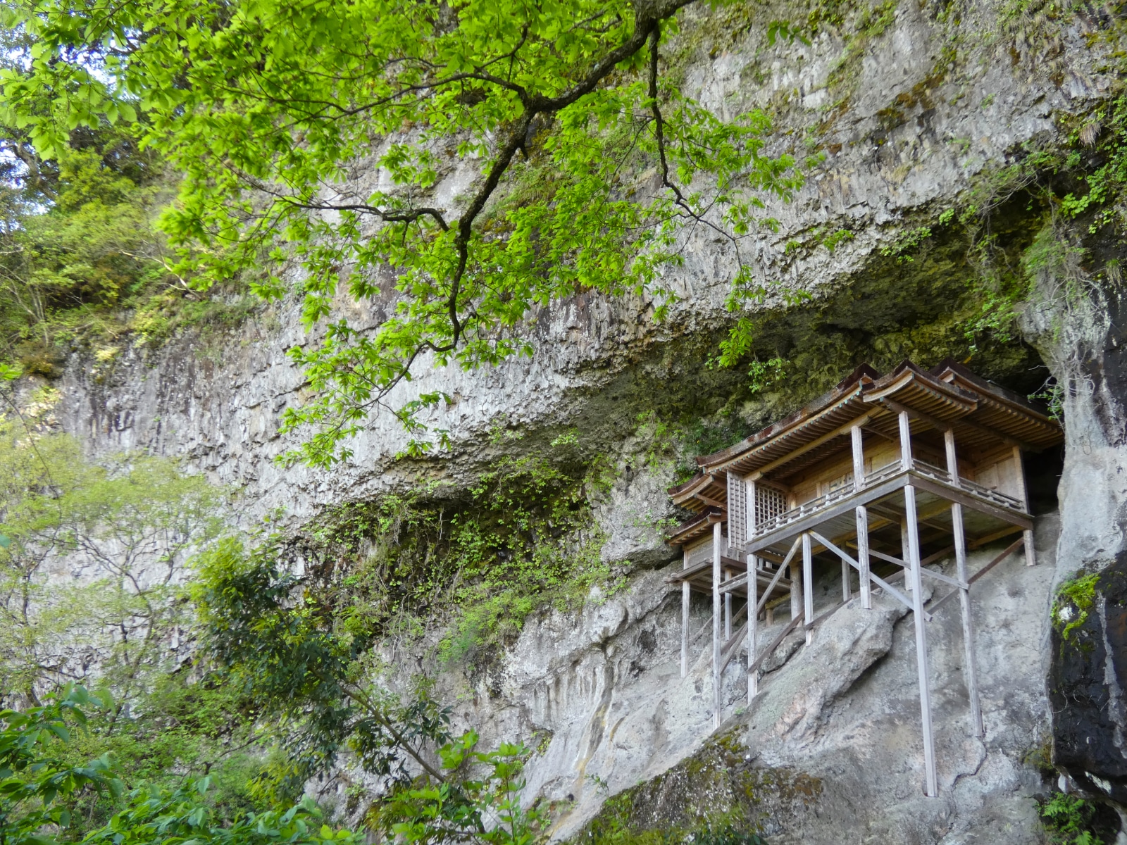 Discover Japan's 'new green' season in Shimane and Tottori prefectures ...