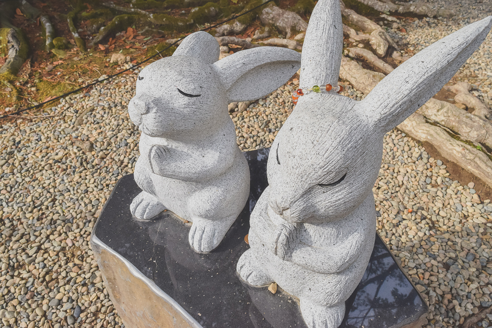 rabbits-Izumo-Taisha-cropped.jpg