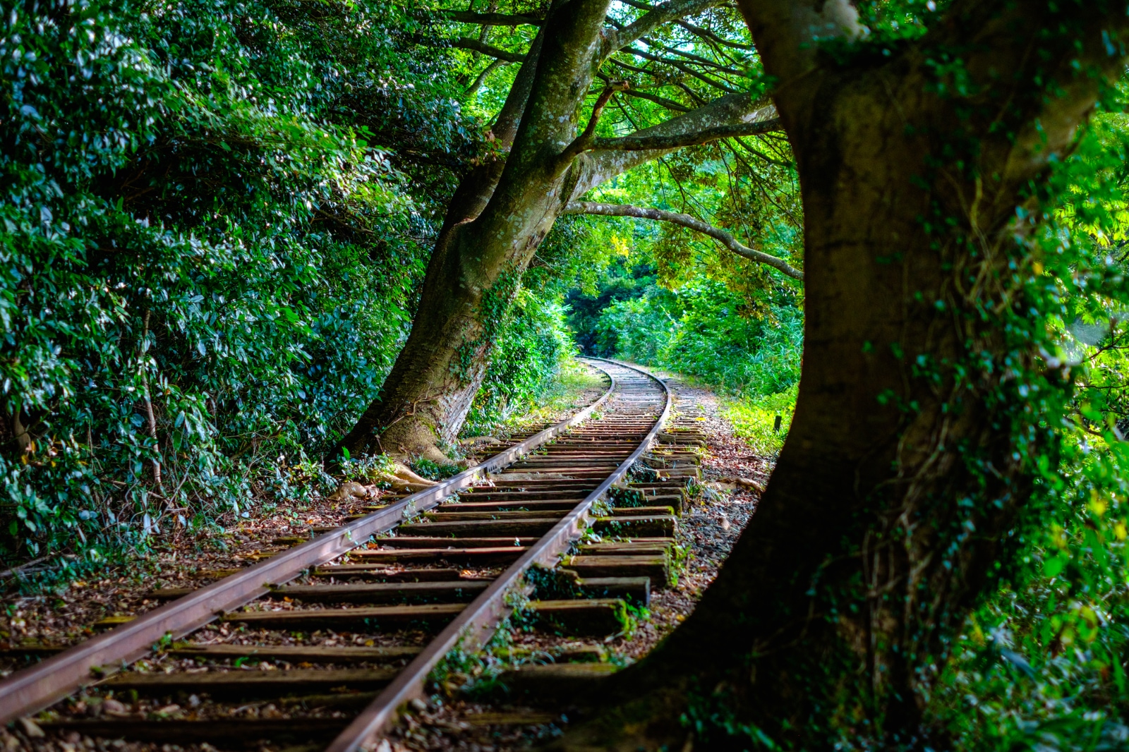 Discover Japan's 'new green' season in Shimane and Tottori prefectures ...