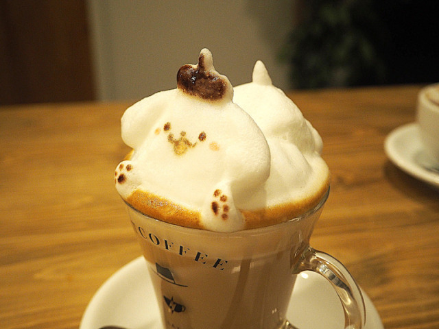 hatcoffee9.jpg