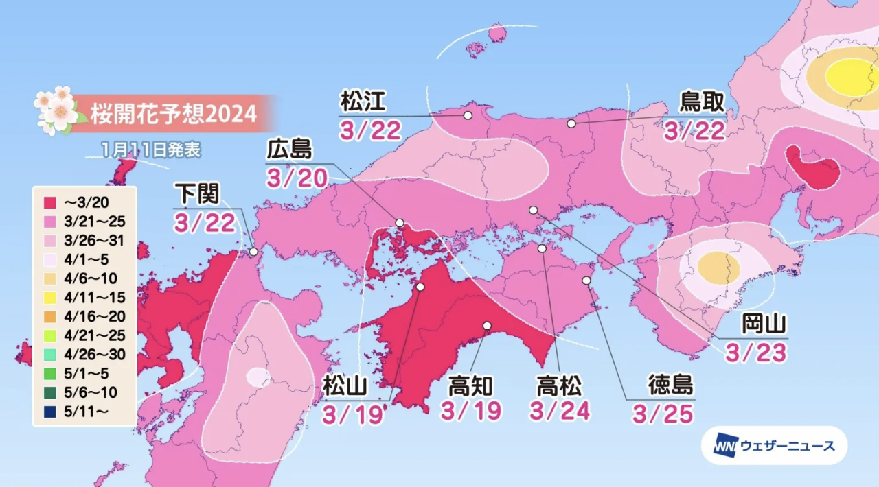 Сакура 2024 япония. Сакура 2024. Forecast Map autumn leaves Japan 2024.