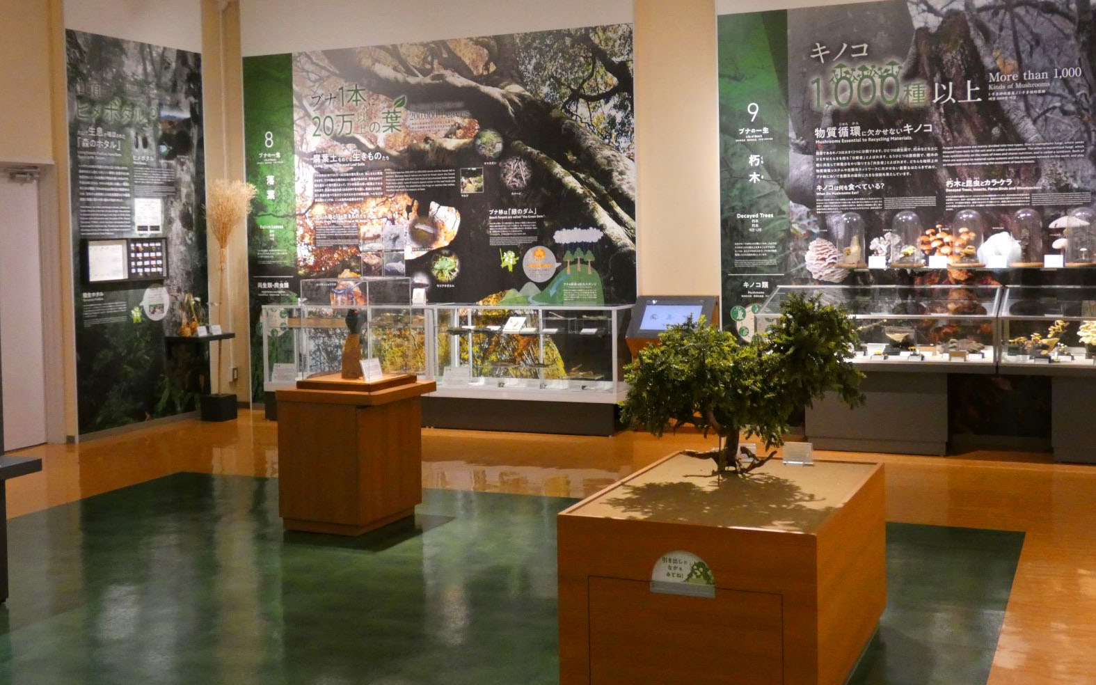 Daisen-Museum-of-Nature-and-History-Flora-and-fauna-exhibit.1.jpg