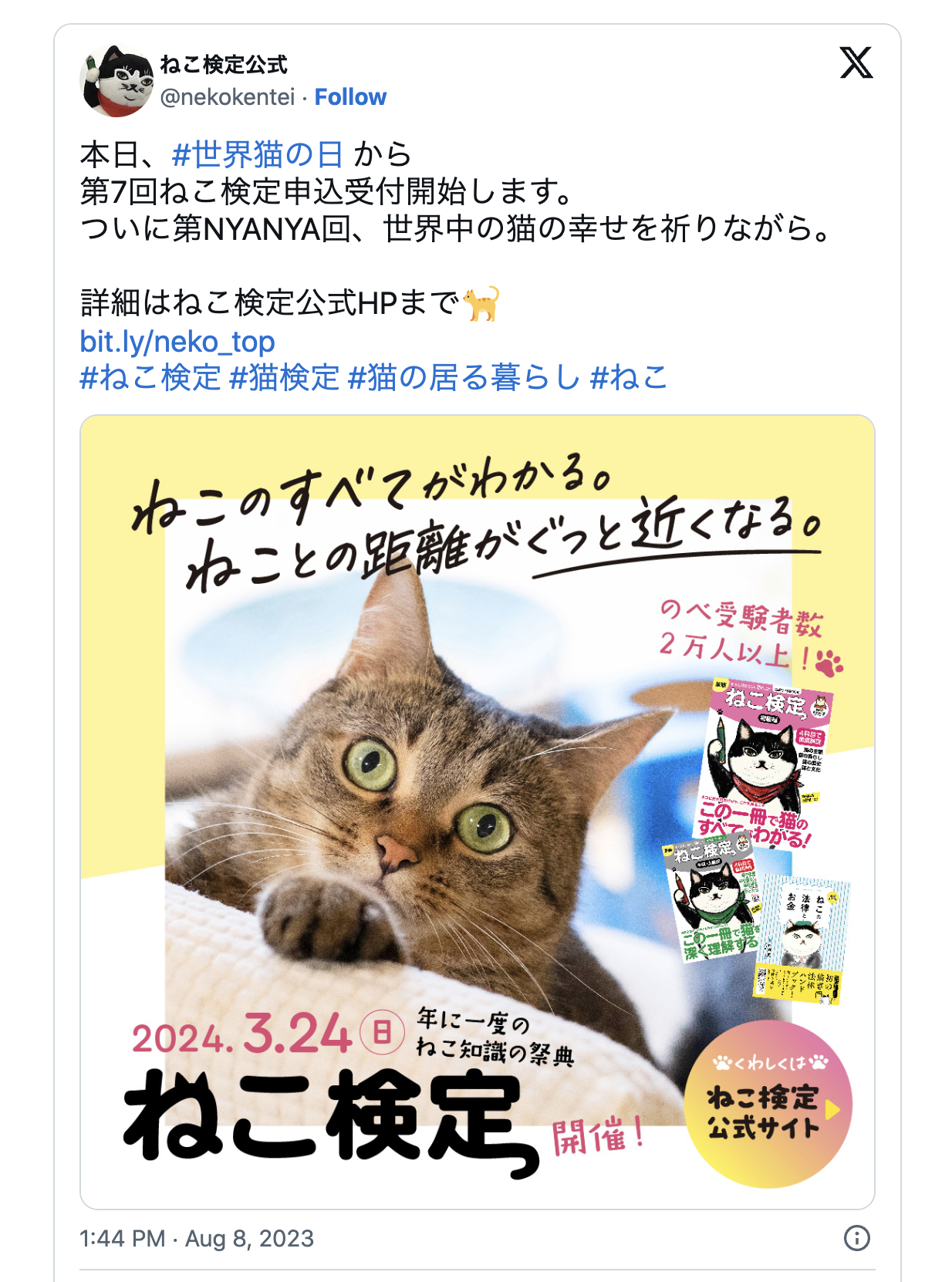 Japan Has A Cat Aptitude Test To Show Off How Much You Know About Our Feline Friends Planet